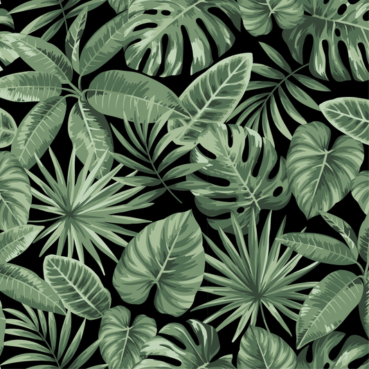 Canopy