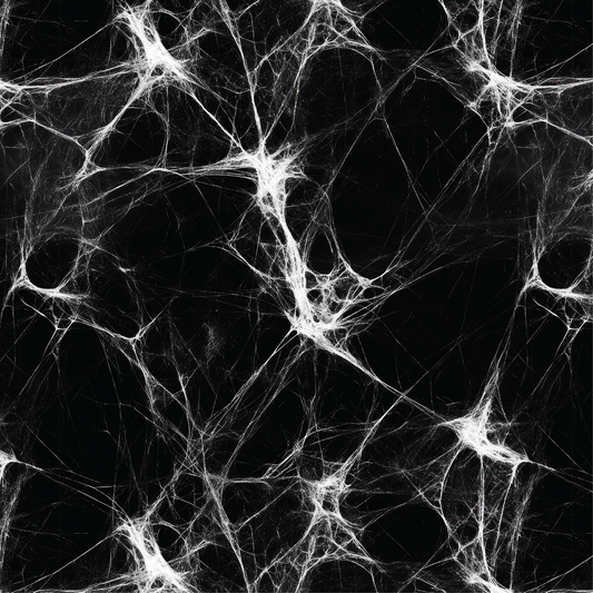 Spider Webs